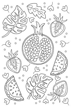 Hand drawn coloring page for kids and adults. Summer tropical fruits. Beautiful drawing with patterns and small details. Coloring book pictures. Vector