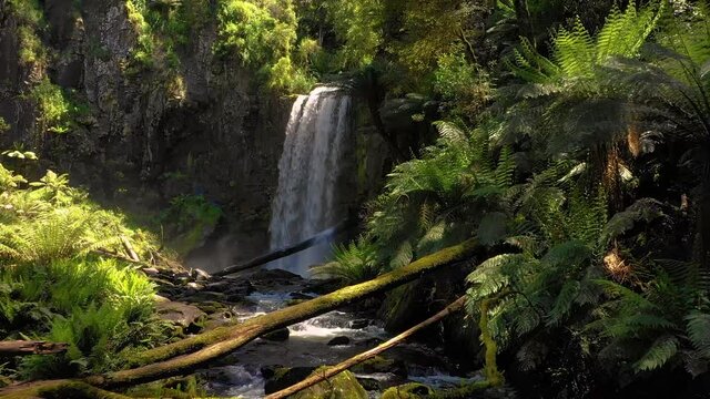 Green Hopetoun Falls on the Aire river in rainforest, Great Otway national park, Victoria, Australia 