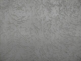 Bark beetle texture. Grey color