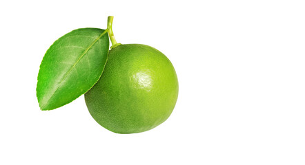 limes isolated on the white background