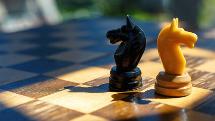 Two pieces of a chess knight, white and black, on a chessboard. © Superzoom