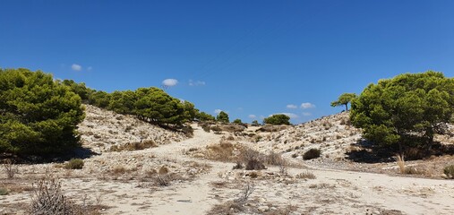 Fototapeta na wymiar Panorámicas de la zona de Lomas de Juan XII y Parque Orgegia en Alicante durante un a salida de senderismo urbano
