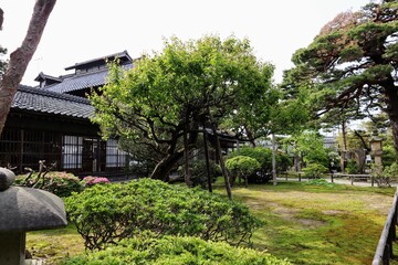 日本の古い家の庭の風景