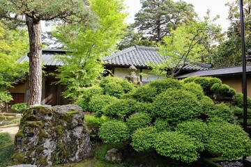 日本の古い家の庭の風景