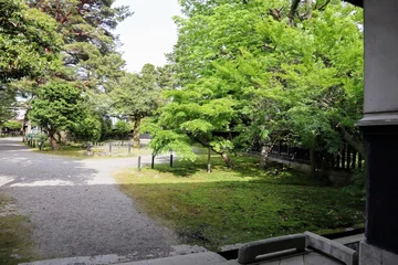 Fototapeten 日本の古い家の庭の風景 © masamasa3