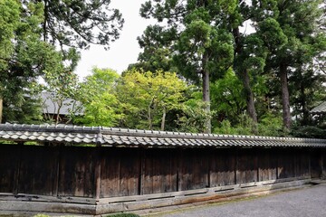 日本の古い家の庭の風景