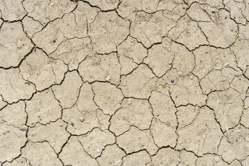 Brown dry soil or desert cracked ground texture background,land arid earth warming.
