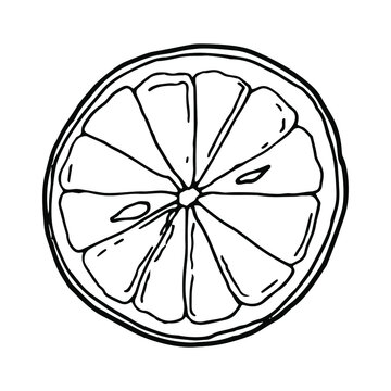 recommend clip art: Slice of orange, lemon. The fruit. Single element. Hand-drawn. Doodle, sketch, icon. Vector illustration for seasonal designs, menus, prints. On white background.