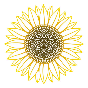 Sunflower mandala. Vector paper or laser cut template. Flower silhouette. Summer illustration. Isolated on white background. Decorative symboll for card,printing on t-shirt,mug,sublimation.