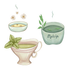 Green herbal tea sketch, matcha tea, chamomile tea, mint tea, fantasy art