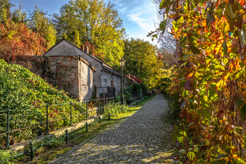 Fototapeta Old steet in autumn, Cieszyńska Wenecja, Cieszyn, Poland obraz