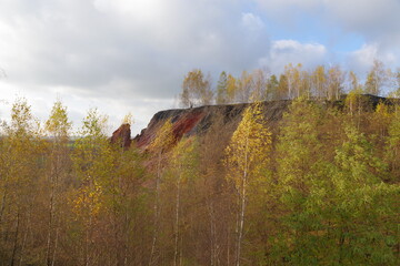 Autumn birches on a mine dump.