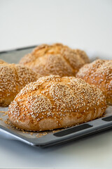 Fresh challah bread rolls hot from the oven on baking tray. Gluten free bread buns or mini loaves with sesame seeds and golden color ready to eat. Fluffy shaped bread, great for sandwiches. Side view