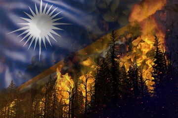 Forest fire natural disaster concept - flaming fire in the woods on Marshall Islands flag background - 3D illustration of nature