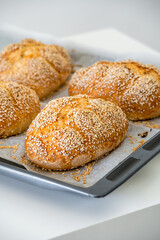 Fresh challah bread rolls hot from the oven on baking tray. Gluten free bread buns or mini loaves with sesame seeds and golden color ready to eat. Fluffy shaped bread for sandwiches, lunch and dinner.