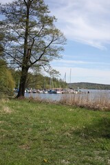 Havel lake in west Berlin and forrest in Kladow 