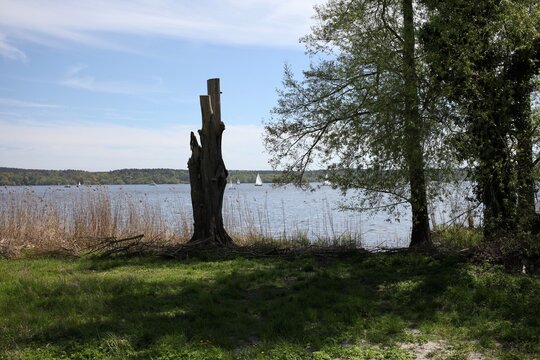 Havel lake in west Berlin and forrest in Kladow 