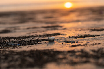 sunset in the sand