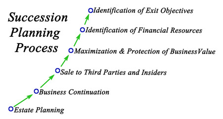 Components of  Succession Planning Process