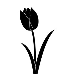 Single tulip icon isolated on white, vector illustration