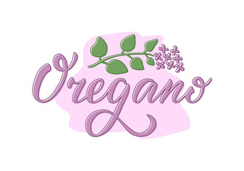 Vector illustration of oregano lettering for packages, product design, banner, spice shop  price lists. Handwritten word with leaves and flowers for web or print
