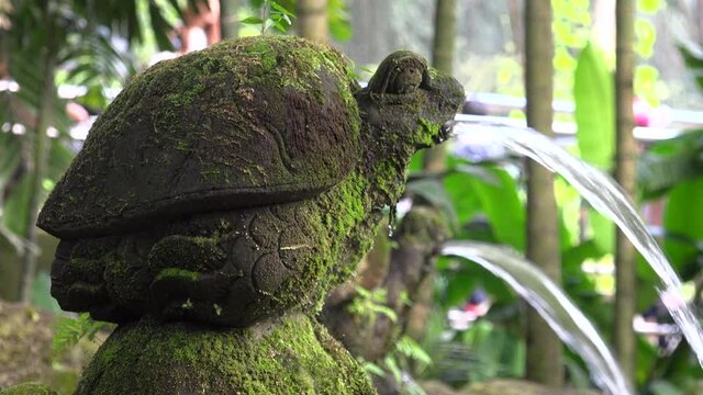 Turtle water fountain.