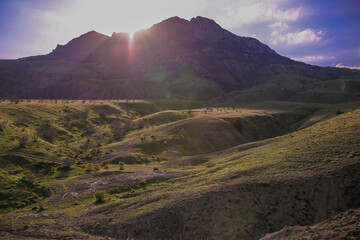 landscape in the morning