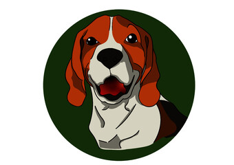 The Beagle dog