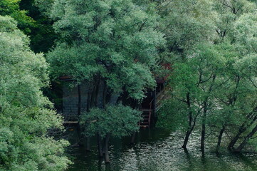 A floating house hidden by the river