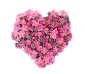 Heart made with beautiful Forget-me-not flowers isolated on white