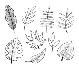 Cute cartoon doodle tropical jungle leaves coloring page