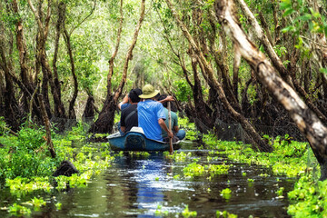 traveler sightseeing over the traditional  boat in tra su forest, Mekong Delta travel, vietnam - obrazy, fototapety, plakaty