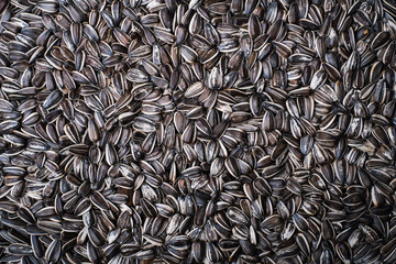 sunflower seed background