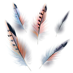 Collection of vector realistic feathers for design