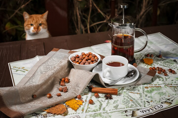 cat and tea