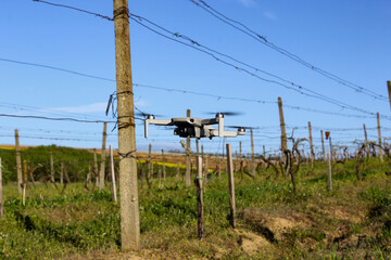 drone in the vineyard
