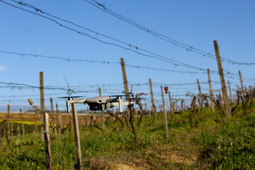 drone in the vineyard
