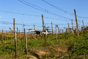 drone in the vineyard