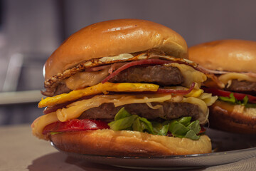 Delicious fresh home made Burguers with vegetables, Food advertising photography