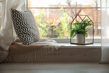 Beautiful fern, pillow and plaid on window sill indoors