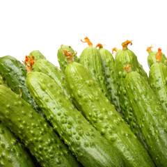 Green cucumber on the white background