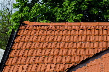 House: detail of the roof, with a multi-pitched roof, in tiles called 
