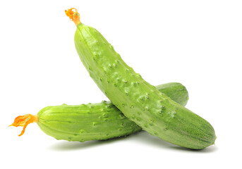 Green cucumber on the white background