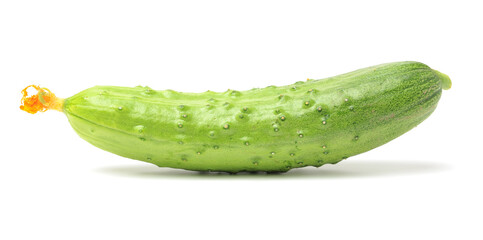 Green cucumber on the white background