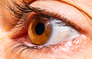 Close up of the human eye. Macro photography