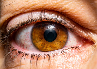 Close up of the human eye. Macro photography