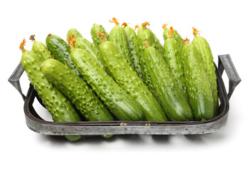 Green cucumber on the white background