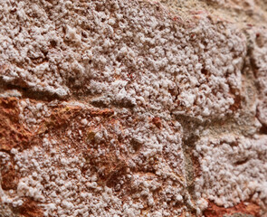 white salt that damages the wall of the building exposed to atmospheric agents and wind