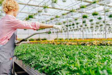 Unrecognizable professional female employee of orangery holding hose pipe and pointing finger taking care of plants, woman owning glasshouse for planting blooming and blossom for sale in retail.