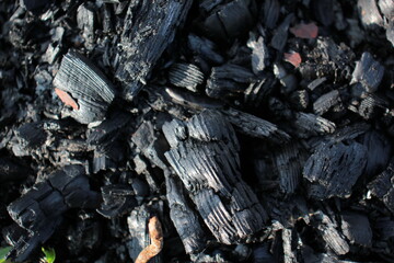 Black burnt wooden wall dark background texture charcoal